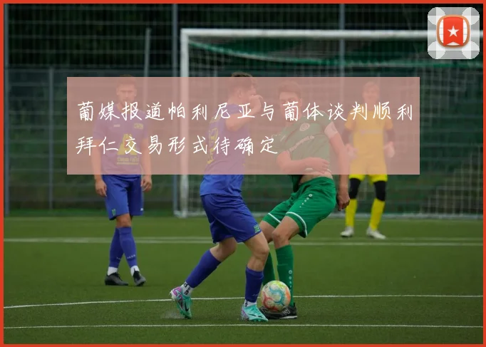 葡媒报道帕利尼亚与葡体谈判顺利拜仁交易形式待确定